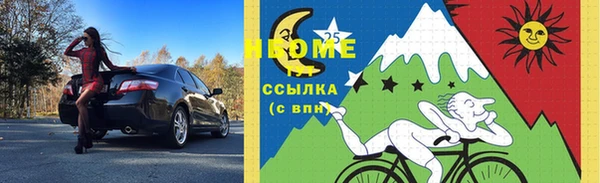 прущие грибы Корсаков