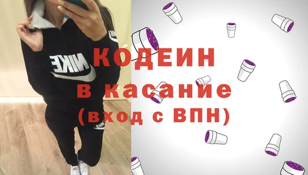 прущие грибы Корсаков