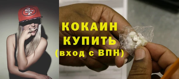 прущие грибы Корсаков