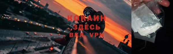 прущие грибы Корсаков