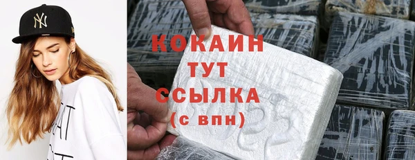 прущие грибы Корсаков