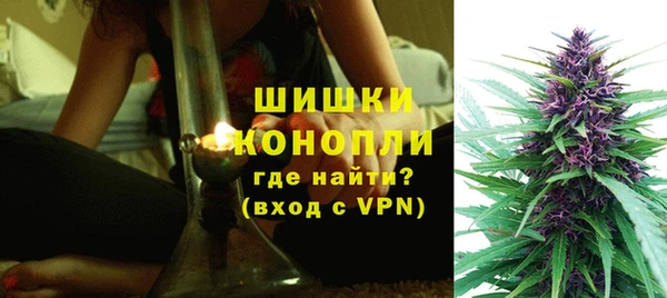 прущие грибы Корсаков
