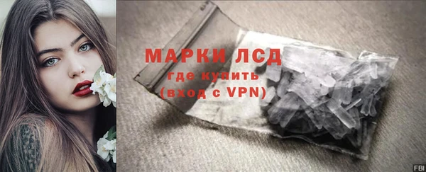 прущие грибы Корсаков